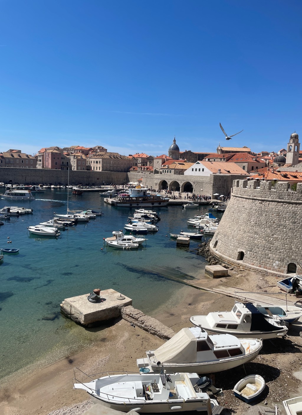 Where Have I Traveled?