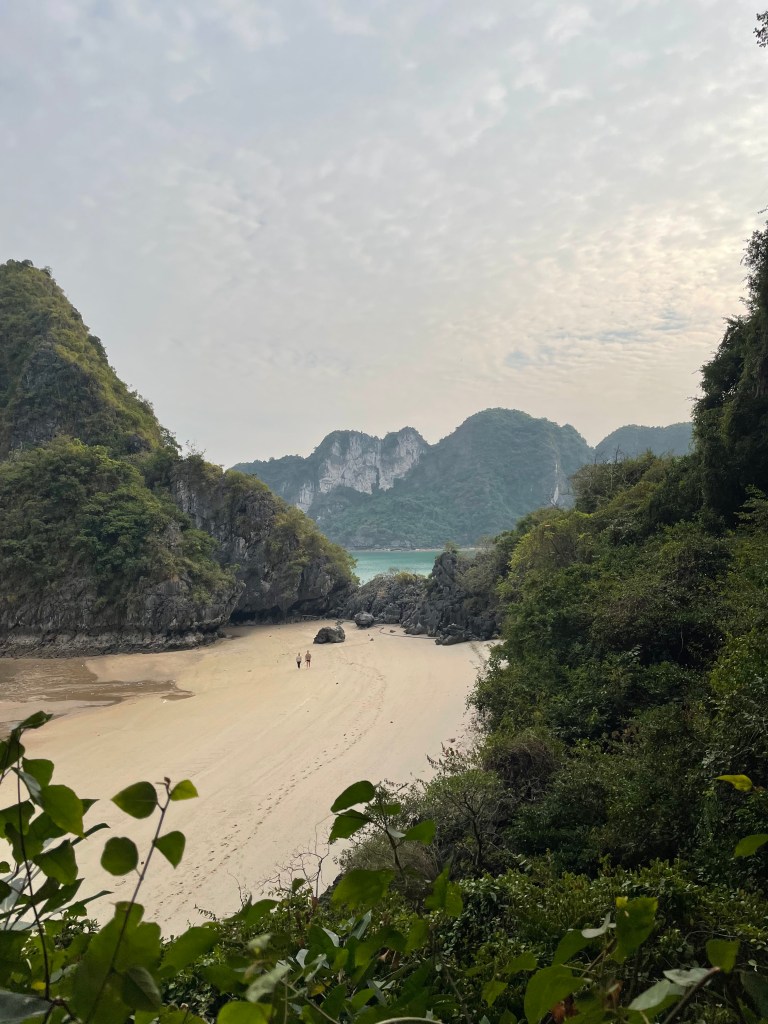 Where Have I&nbsp;Traveled?