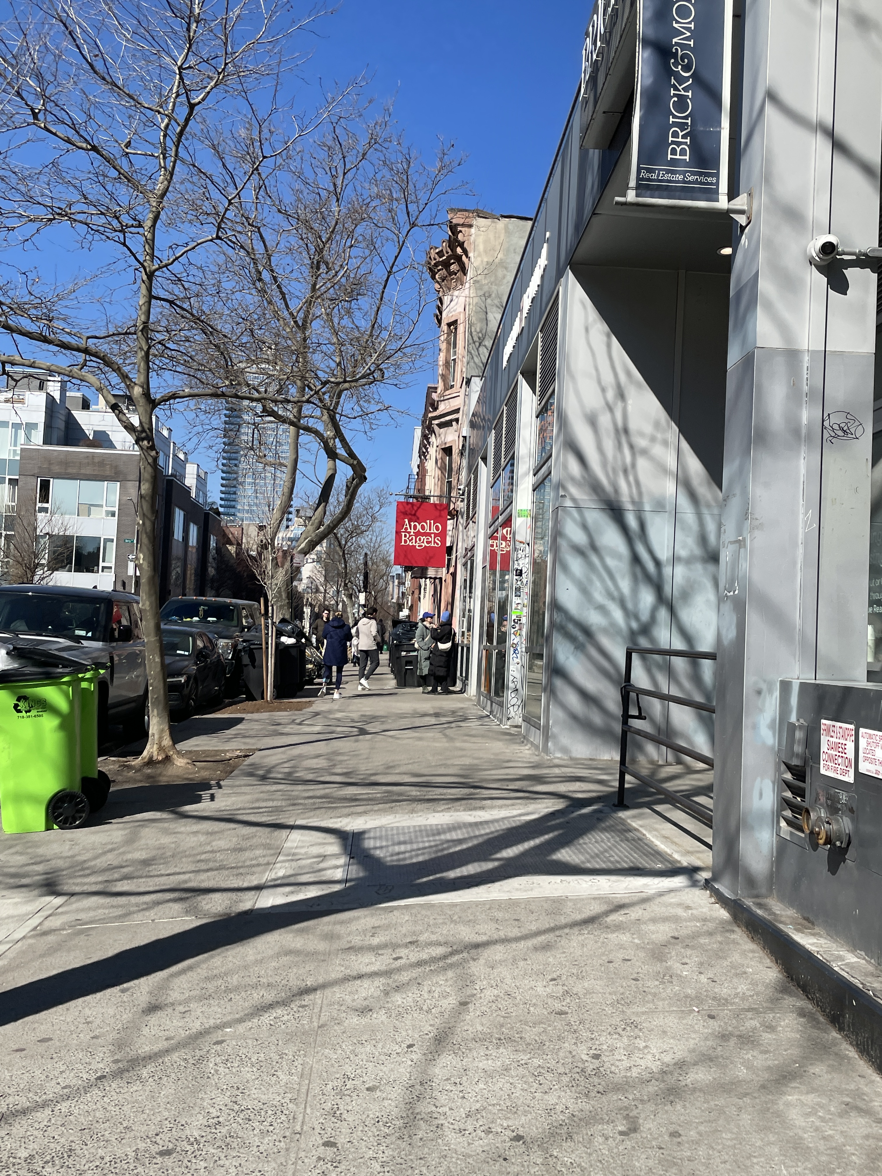 Apollo Bagels, Williamsburg Location